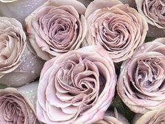 -亭亭鲜花店(中山北路店)