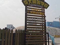 -柴犬高等学院·狗咖·柴犬售卖·宠物训练