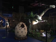 -重庆欢乐海底世界
