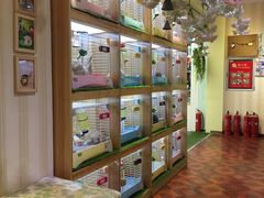 -宠物兔专门店(天丰利市场店)