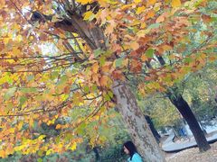 -泰安地下龙宫景区