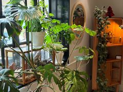 -一尺花园(安和花园店)