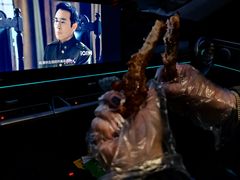 -枫花园汽车电影院(朝阳公园店)