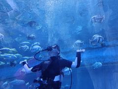 -华夏文旅海洋公园