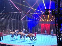 -水秀国际大剧院