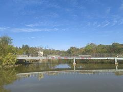 -上海吴淞炮台湾国家湿地公园