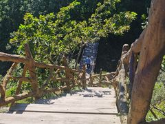 -香炉山国家森林公园