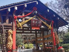 -云南民族村
