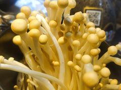 -红辣椒·川菜·火锅(张杨路店)