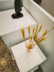 -I+造型烫发染发
