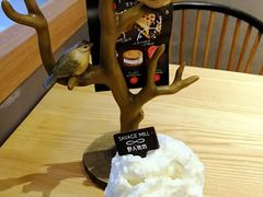 -野人先生现做冰淇淋(西安赛格店)