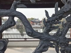 -无锡蠡湖国家湿地公园-蠡园