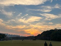 -昆山城市生态森林公园