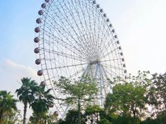 -南宁市凤岭儿童公园