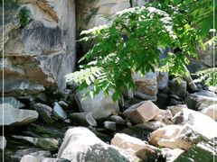 -黑龙潭风景区