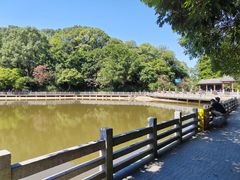 -广州市帽峰山景区