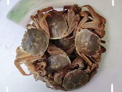 -小象钓虾·营地烧烤(洛溪店)