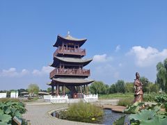 -白洋淀景区