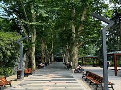 -静安公园(静安寺街道)