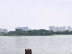 -飞来湖湿地公园