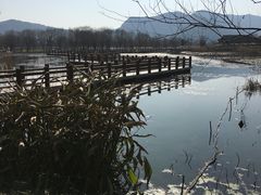 -长兴太湖图影湿地文化园