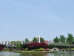 -上海鲜花港