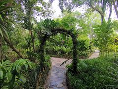 -中国科学院西双版纳热带植物园