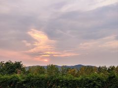 -上海市保健医疗中心