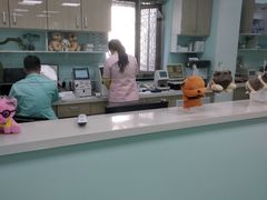 -北京观赏动物医院·24小时大型综合·猫专科·异宠专科