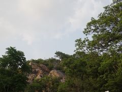 -紫金山天文台
