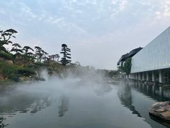 -罗红摄影艺术馆