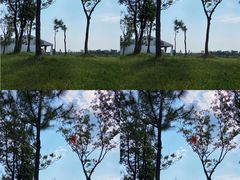 -上海海湾国家森林公园