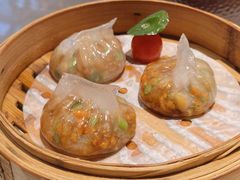 -点都德·毕德寮