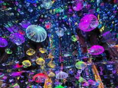 -成都梵高星空艺术馆(春熙路旗舰店)