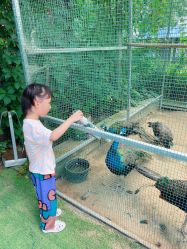 -萌宠亲子动物乐园(槐房万达店)