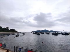 -海源公园