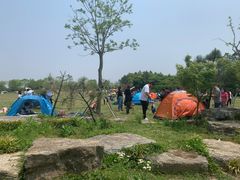 -上海海湾国家森林公园