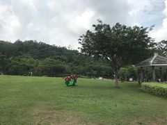 -火炉山森林公园