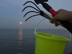 -天津东疆湾沙滩景区