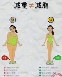 -香薇妮丝女子减肥院
