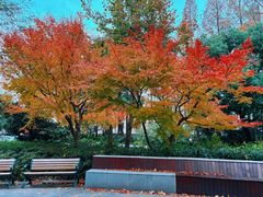 -兰溪青年公园