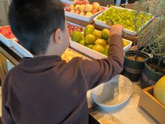 -君悦酒店·乐厨·高空自助餐(青年大街店)