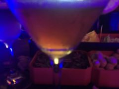 好久不见鸡尾酒-好久不见网红乐队酒吧(鼓浪屿海底世界店)