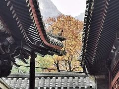 -北京上方山国家森林公园