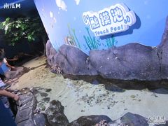 -苏州海洋馆