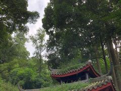 -都江堰普照寺