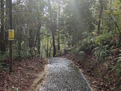 -广州市流溪河国家森林公园