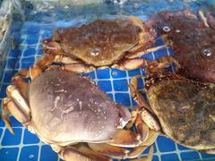 -江杨农产品批发市场