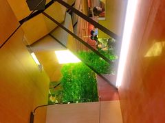 -初蓉丨遇见新川菜(亲贤街荣耀店)