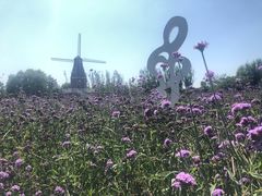 -渔岛海洋度假区